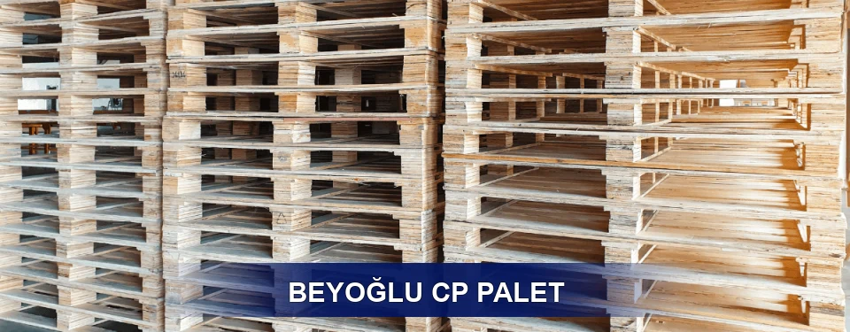 Beyoğlu Standart Tipler